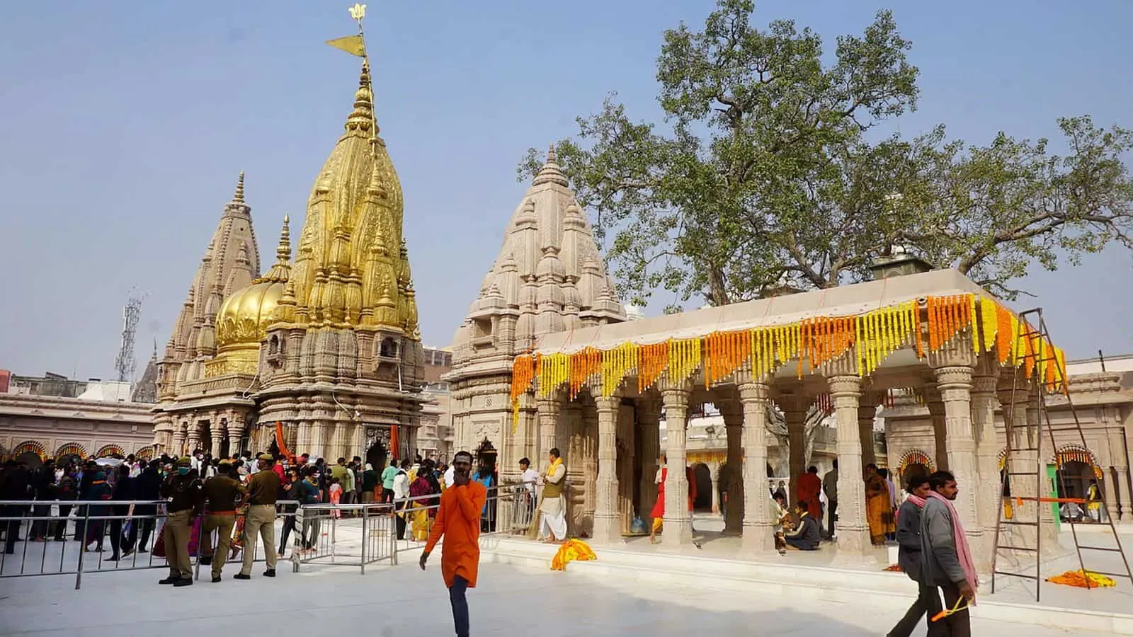 Devotees in the Kashi Vishwanath Dham courtyard below the golden spire